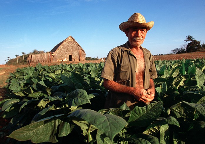 cuban tobacco farmer